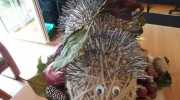 IMG-20221014-WA0090