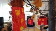 IMG-20221014-WA0081