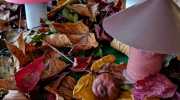 IMG-20221014-WA0083