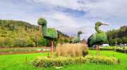 IMG-20240925-WA0036