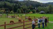 IMG-20240925-WA0061